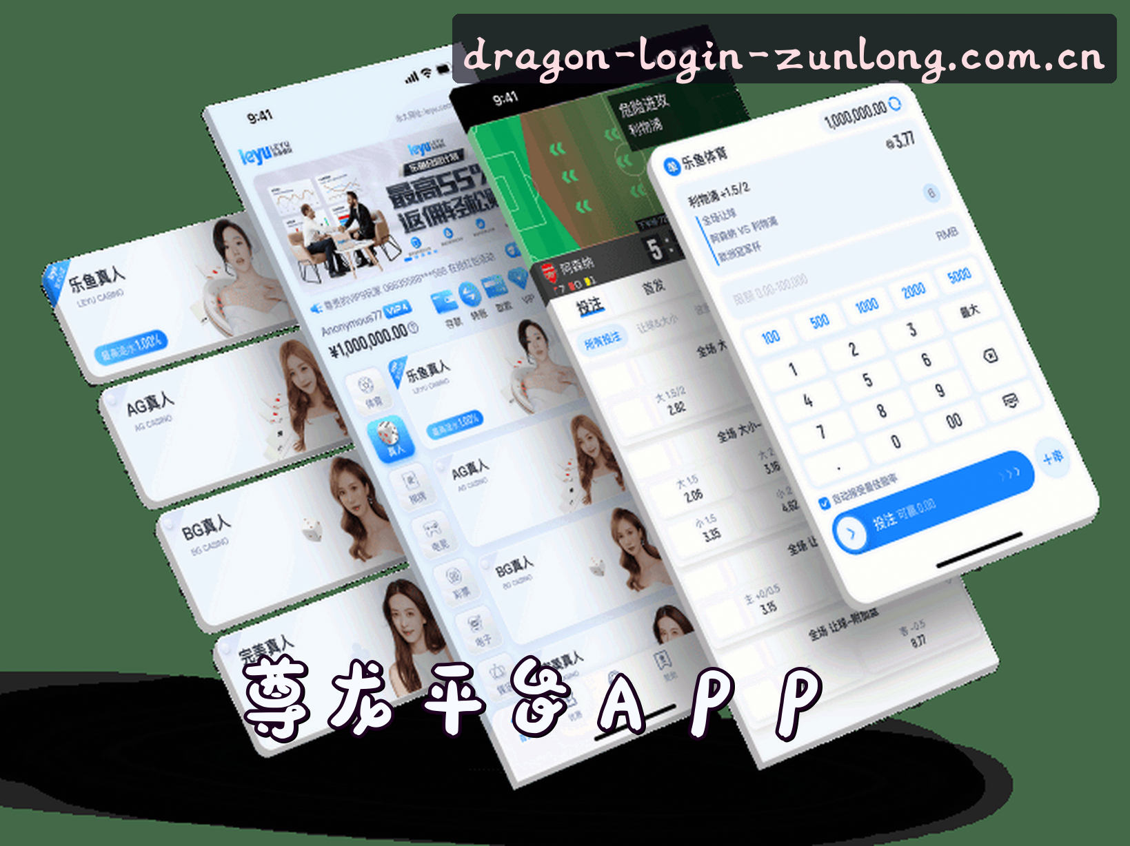 平台简介