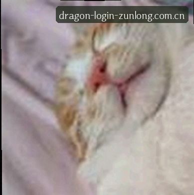 周婷
